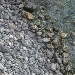 cicciotosto67 - Guarda il suo profilo